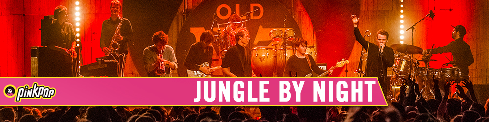 Jungle By Night Pinkpop banner