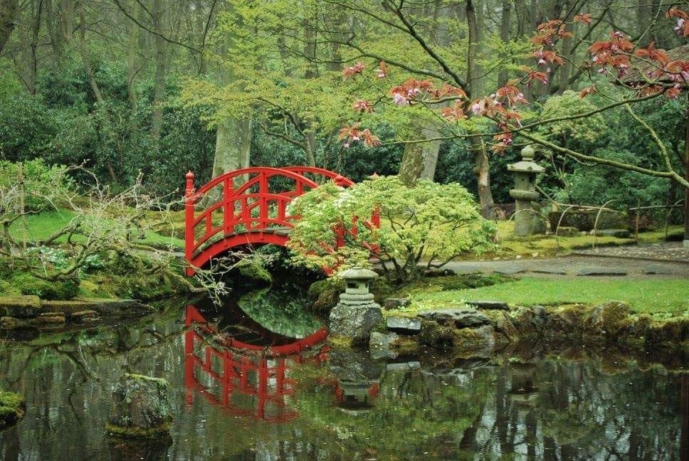 Eva Nuwenhoud - Japanse tuin Den Haag