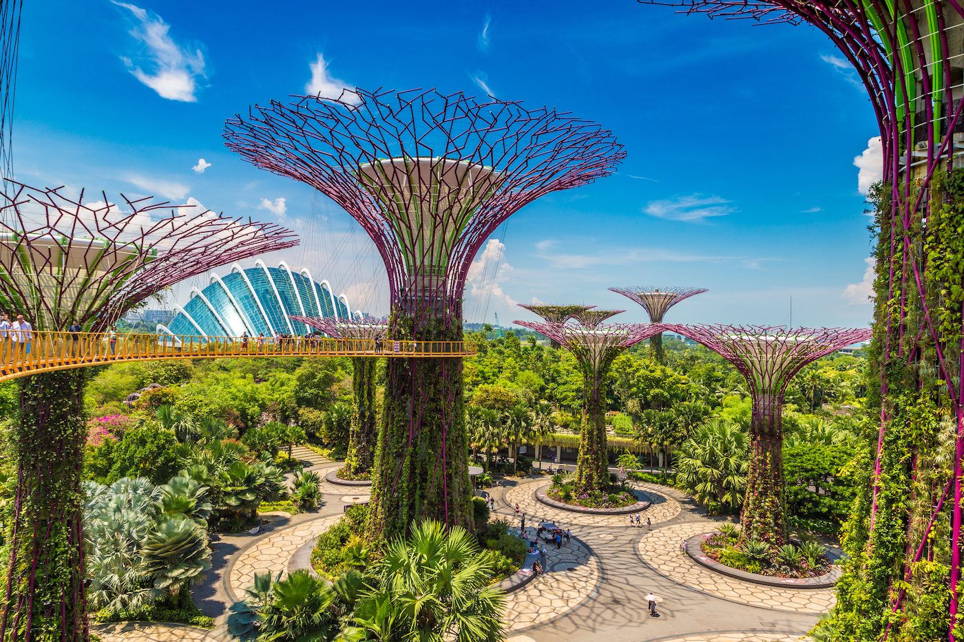singapore gardens by the bay 2