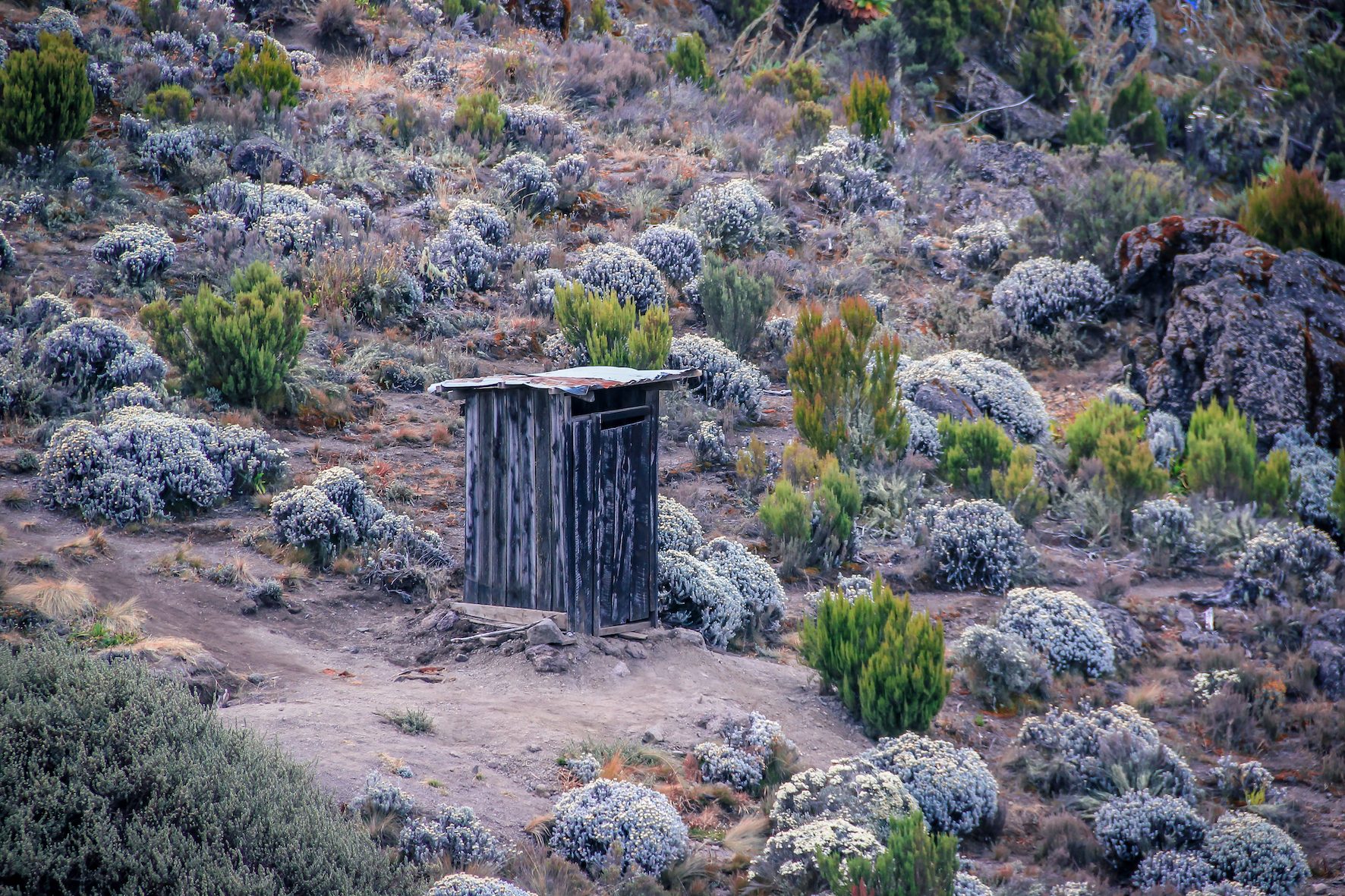 Kilimanjaro toilet