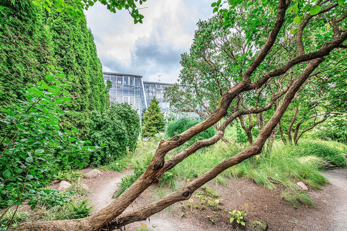 Botanische tuinen van de Universiteit van Tartu
