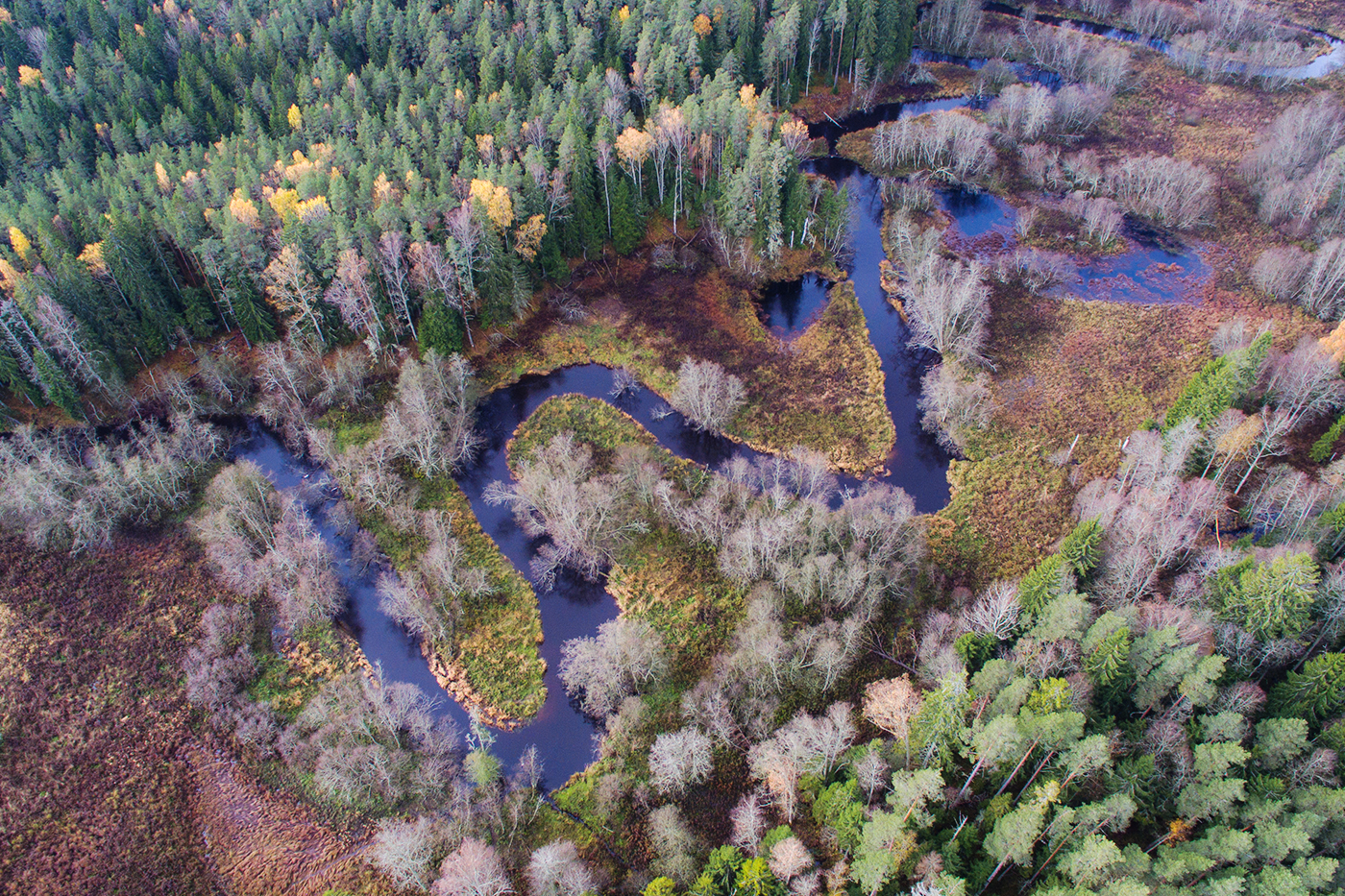 Lahemaa National Park Estland