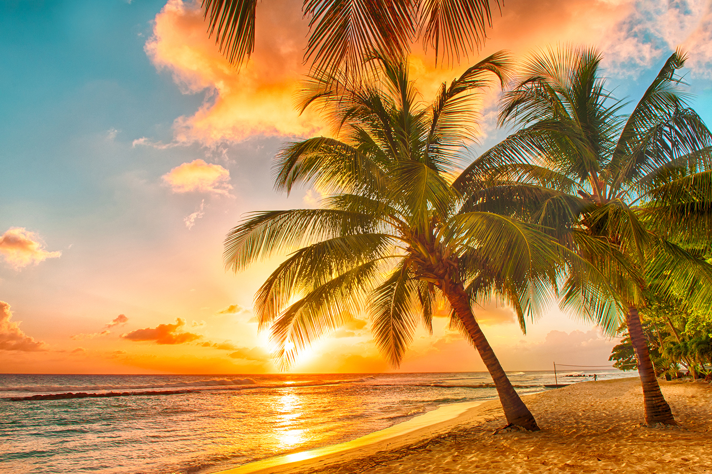 Barbados strand zonsondergang
